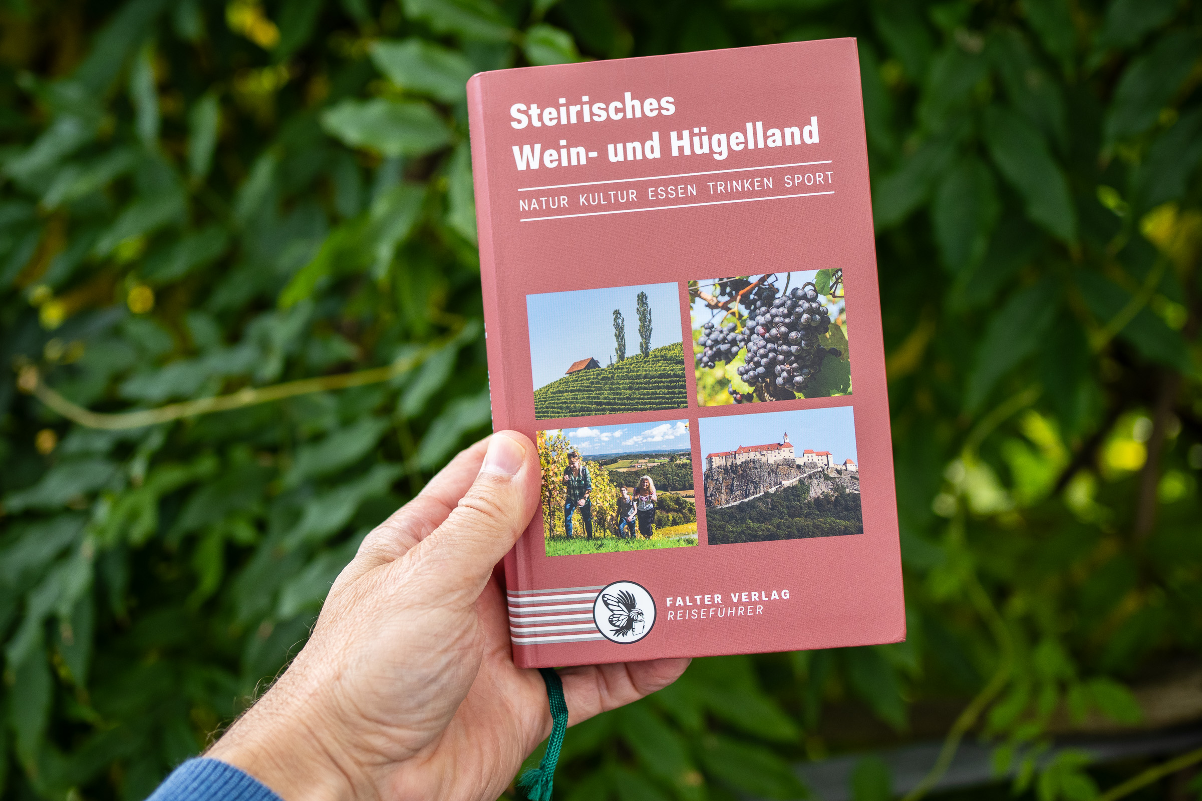 Cover des Reiseführers "Steirisches Wein- und Hügelland" von Werner Schandor